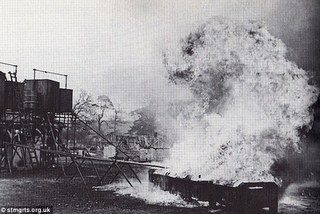 A Starfish decoy A Starfish decoy