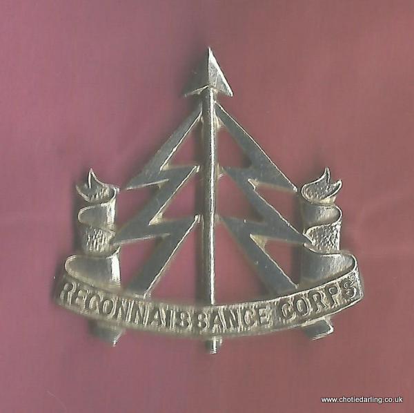 Reconnaissance badge Reconnaissance badge