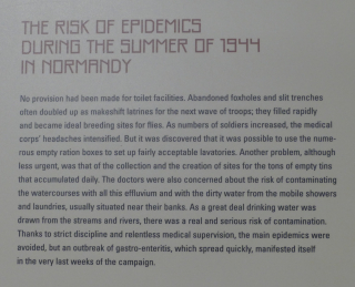 P1620103 (2) P1620103 (2)