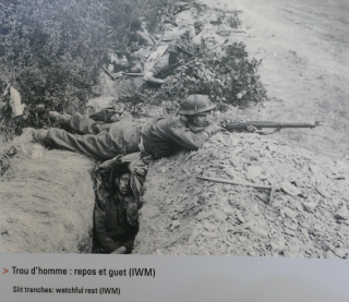 P1620093 (2) P1620093 (2)