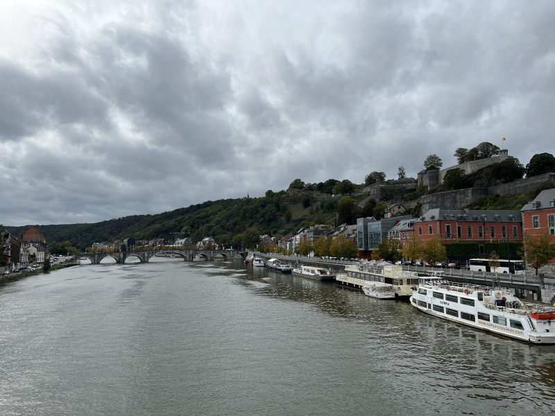 The old bridge and citadel at Namur