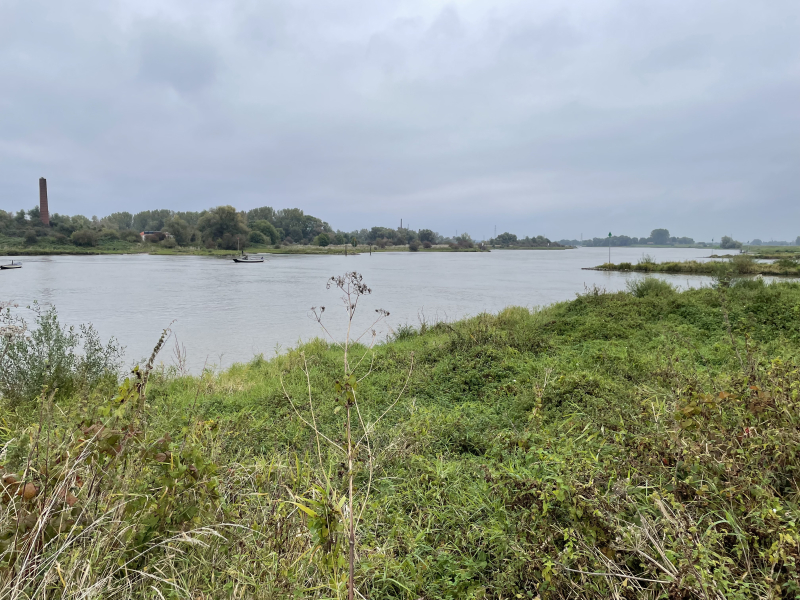 Nederrijn  by Opheusden ferry (2)